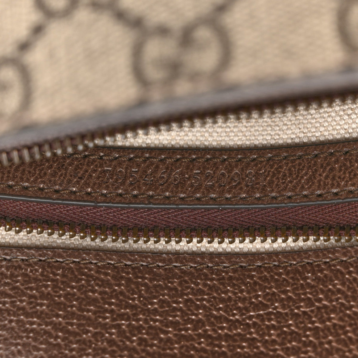 GG Supreme Monogram Web Mini Ophidia Flap Shoulder Bag Brown