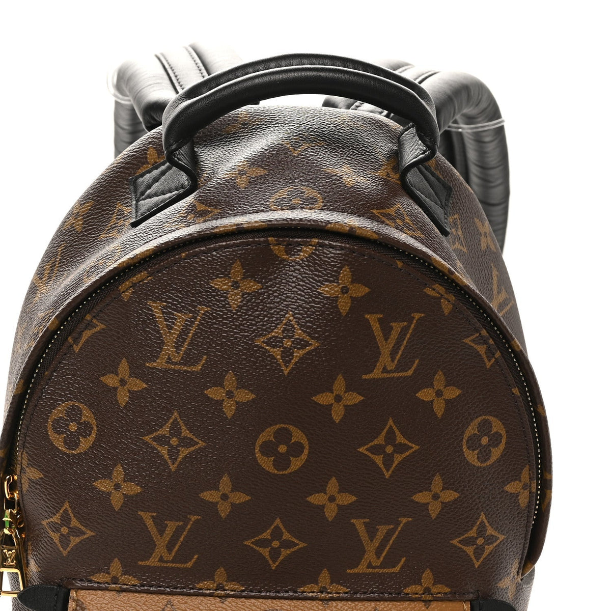 Reverse Monogram Palm Springs Backpack PM