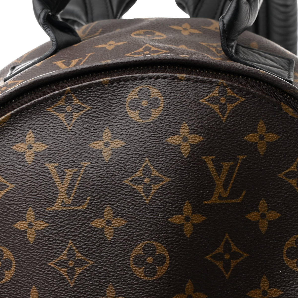 Monogram Palm Springs Backpack MM