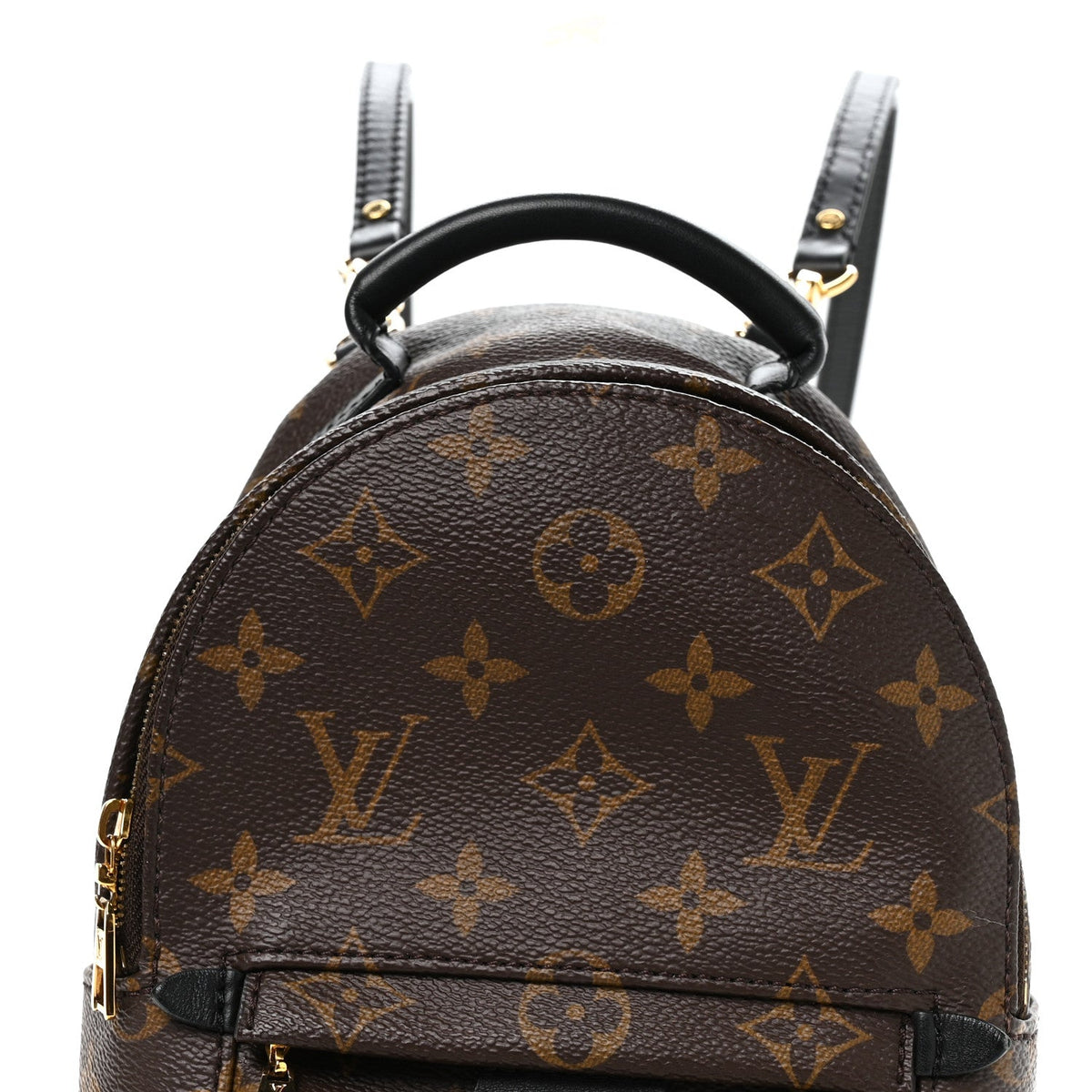 Monogram Palm Springs Backpack Mini