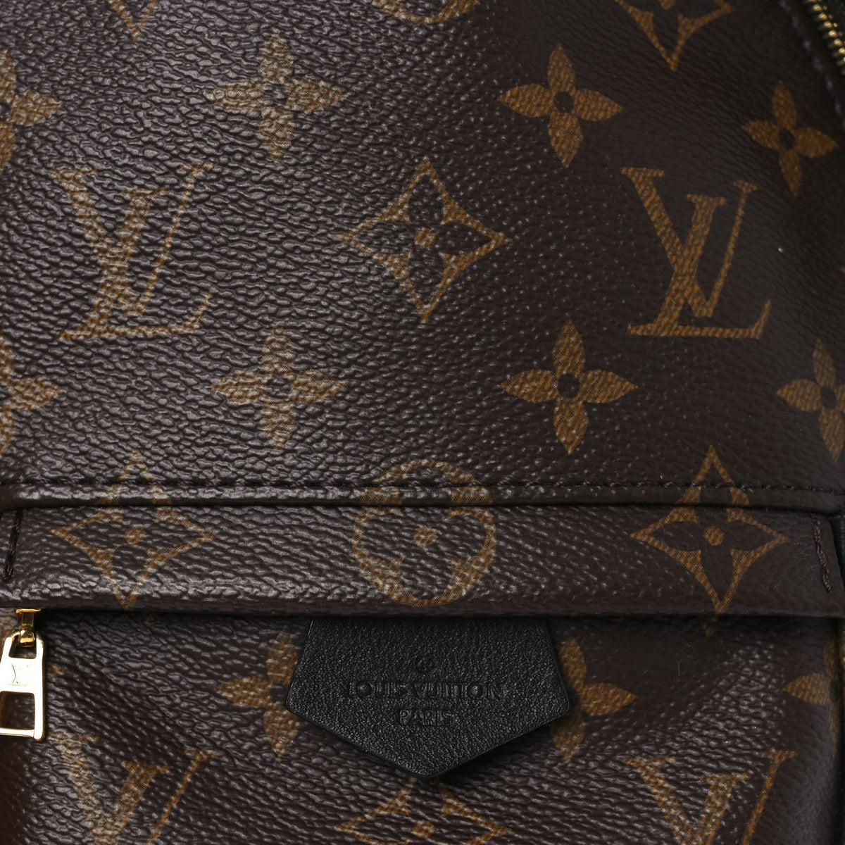 Monogram Palm Springs Backpack Mini