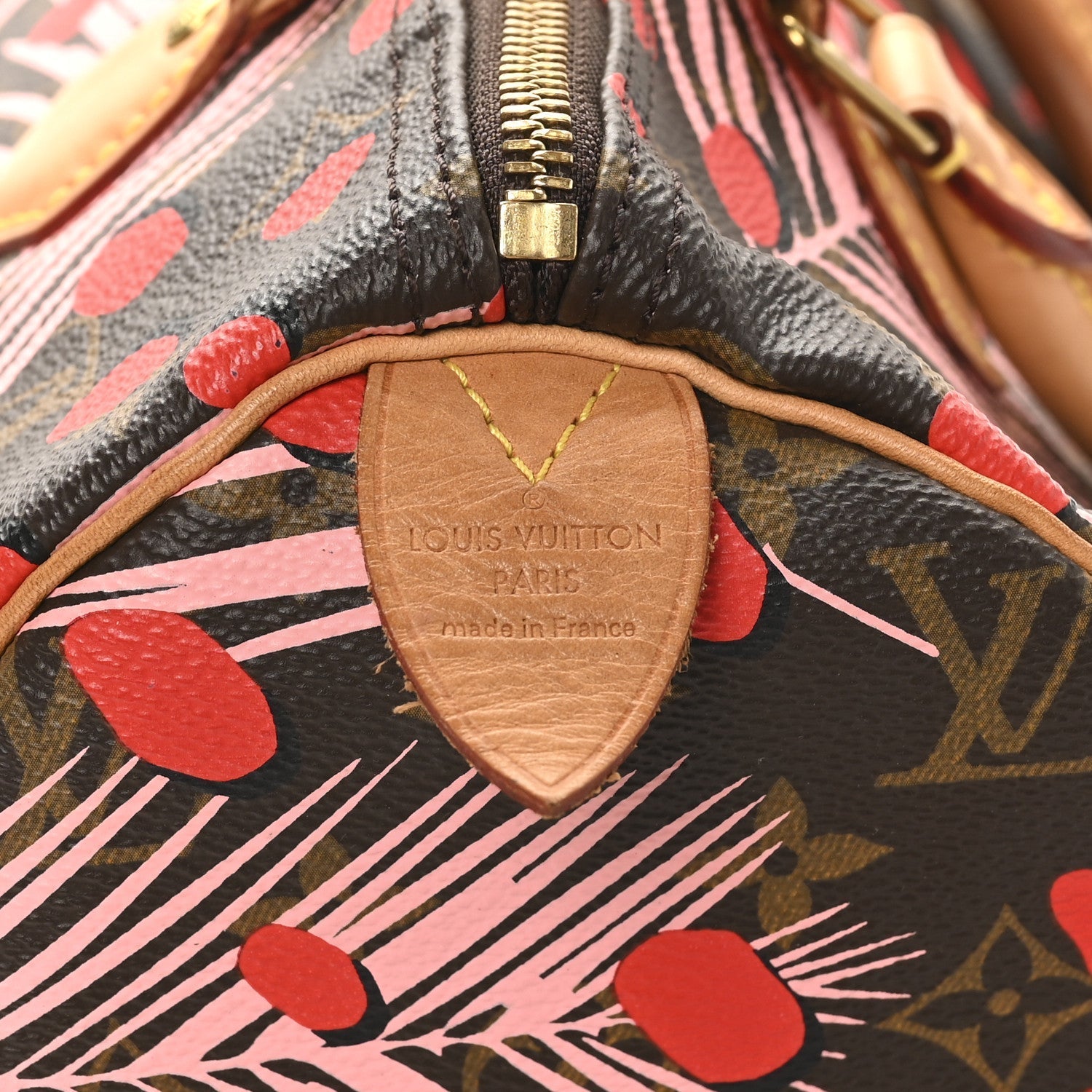 Monogram Jungle Dots Speedy 30 Sugar Pink Poppy
