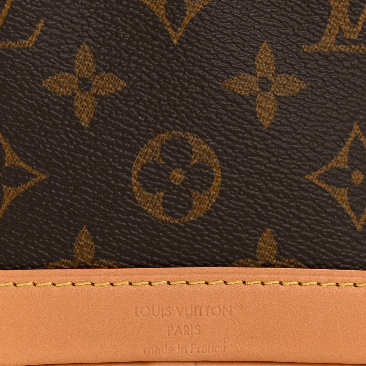 Monogram Nano Noe NV