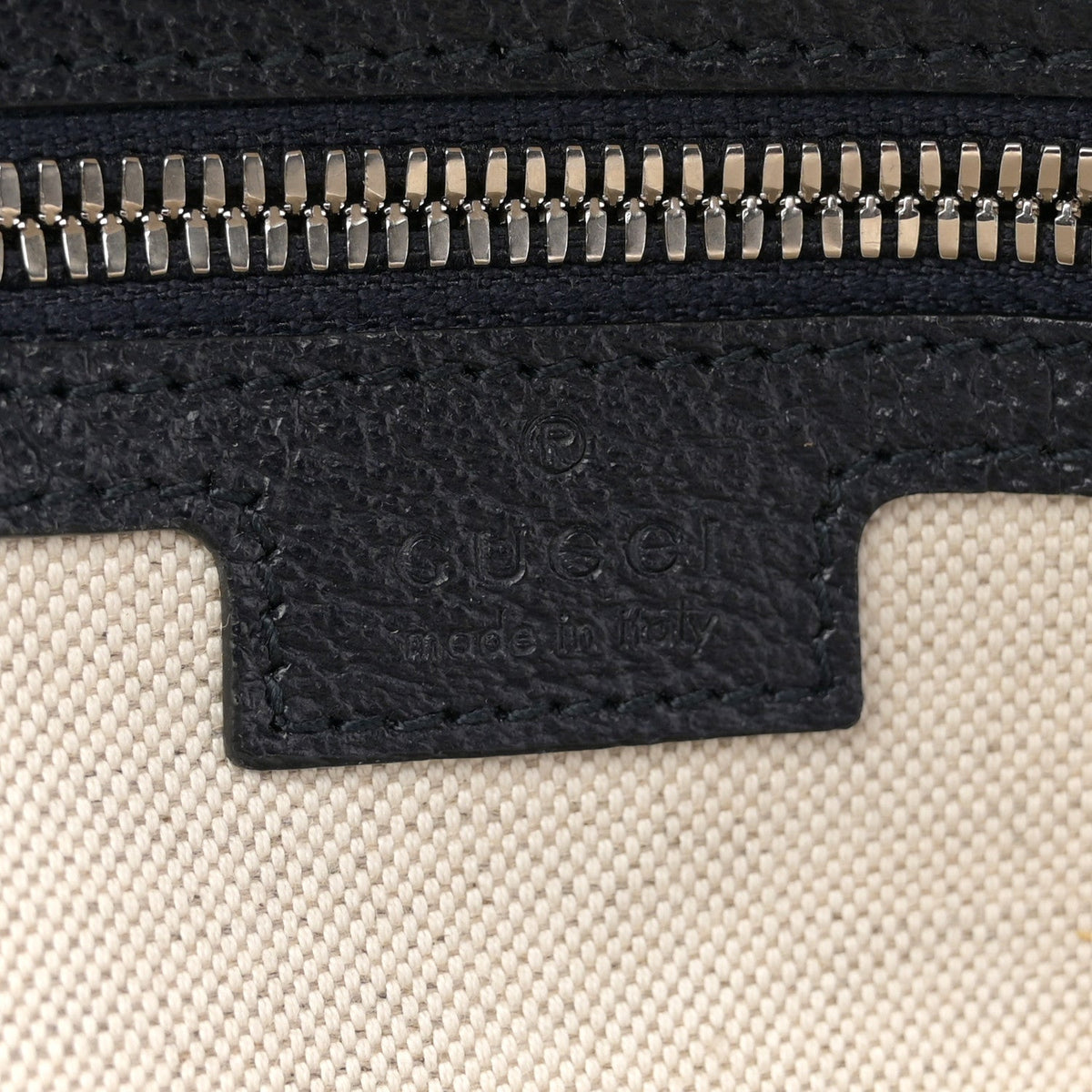 GG Supreme Monogram Textured Dollar Calfskin Web Small Ophidia Day Backpack Beige Blue Black
