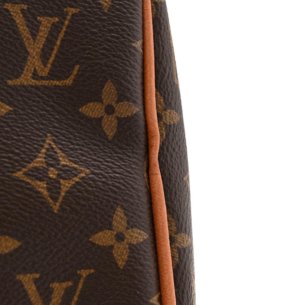 Monogram Speedy Soft 30 Boho