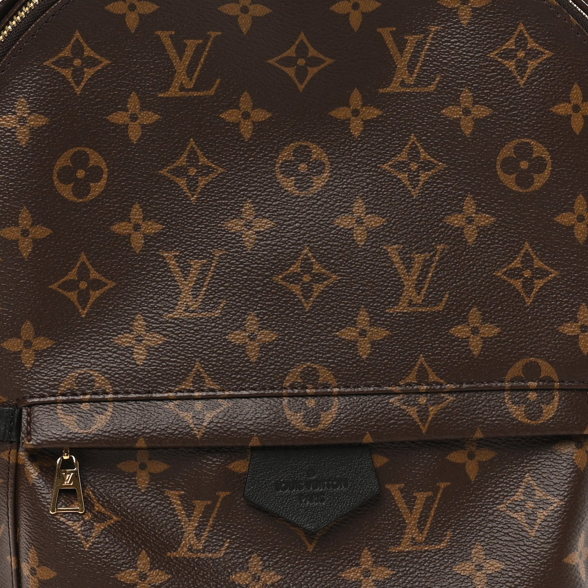 Monogram Palm Springs Backpack MM