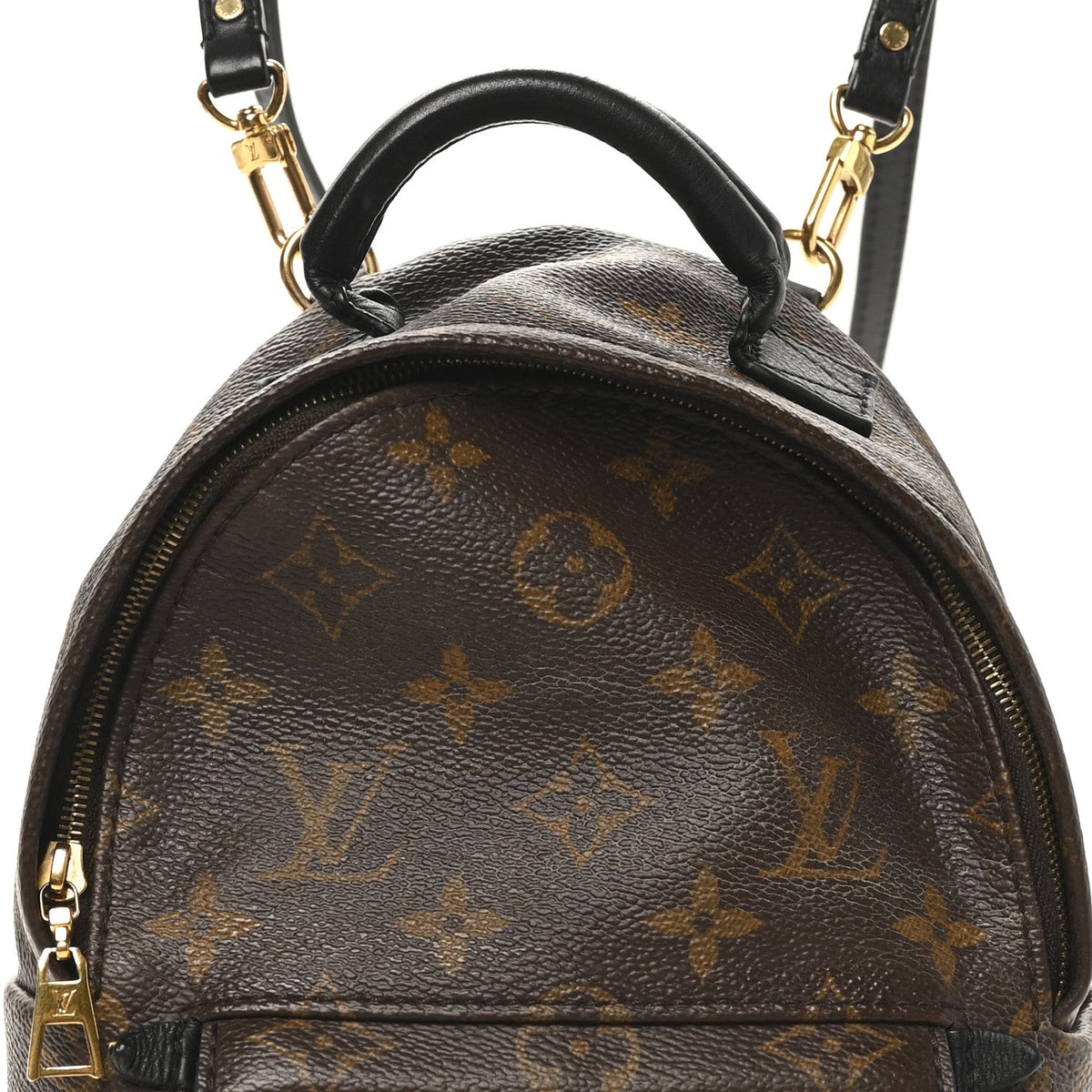 Monogram Palm Springs Backpack Mini
