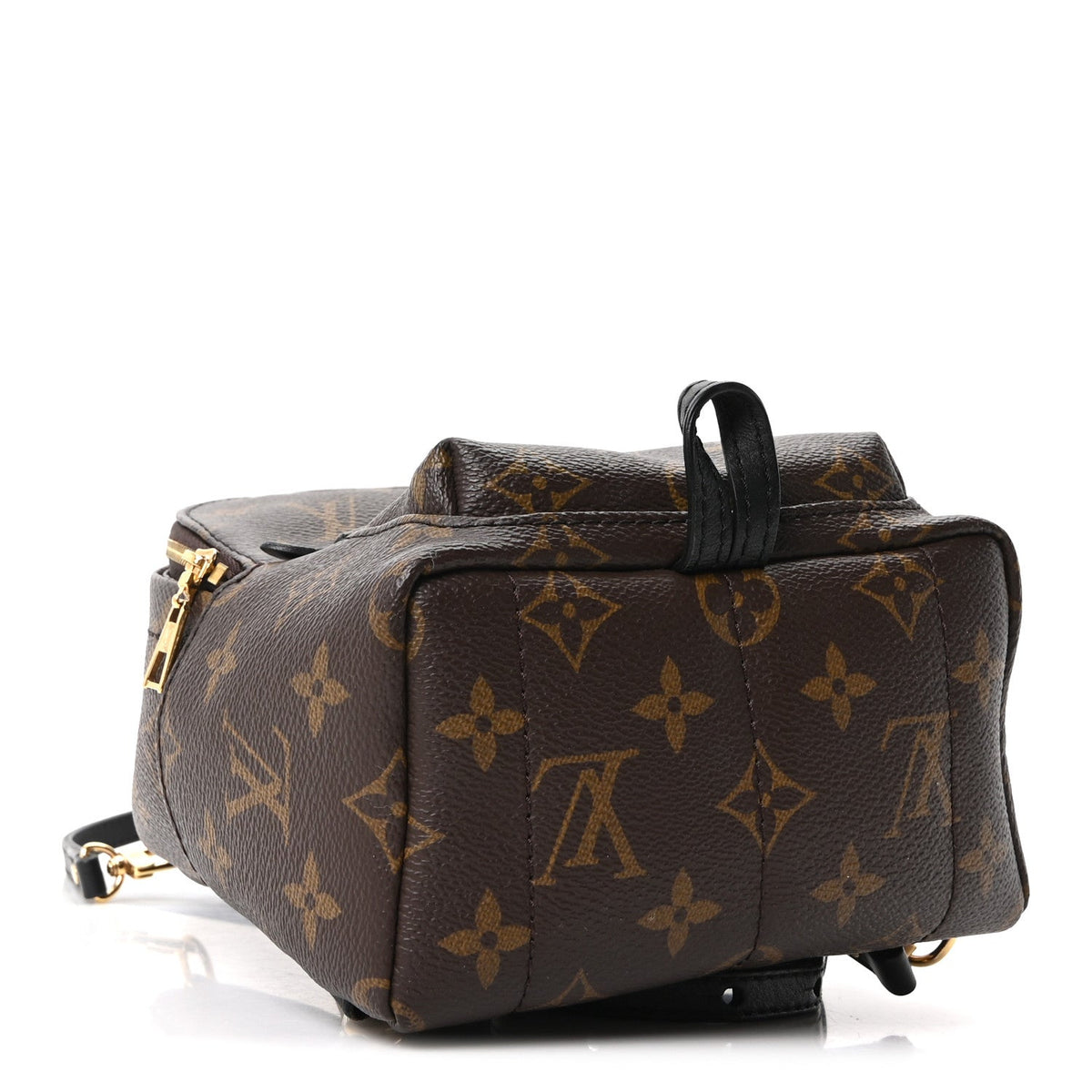 Monogram Palm Springs Backpack Mini
