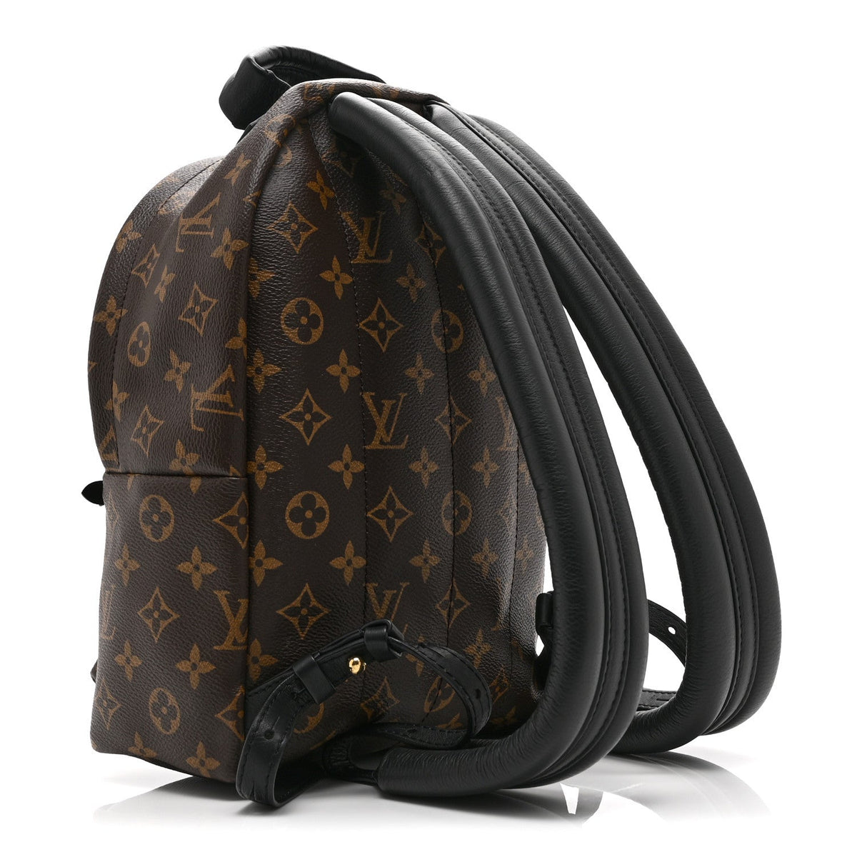 Monogram Palm Springs Backpack PM