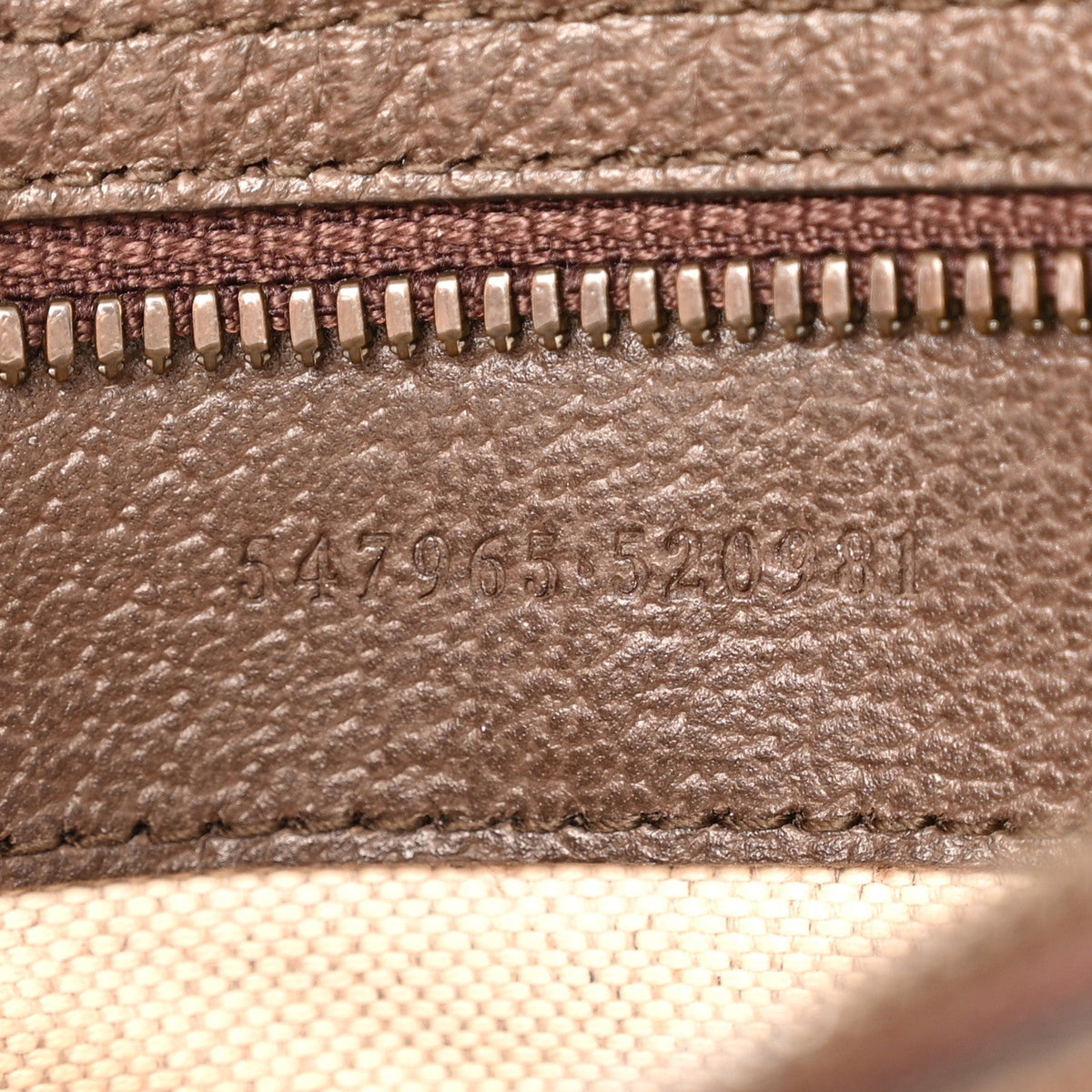 GG Supreme Monogram Textured Dollar Calfskin Web Small Ophidia Day Backpack Beige Ebony Fluorescent Fuchsia