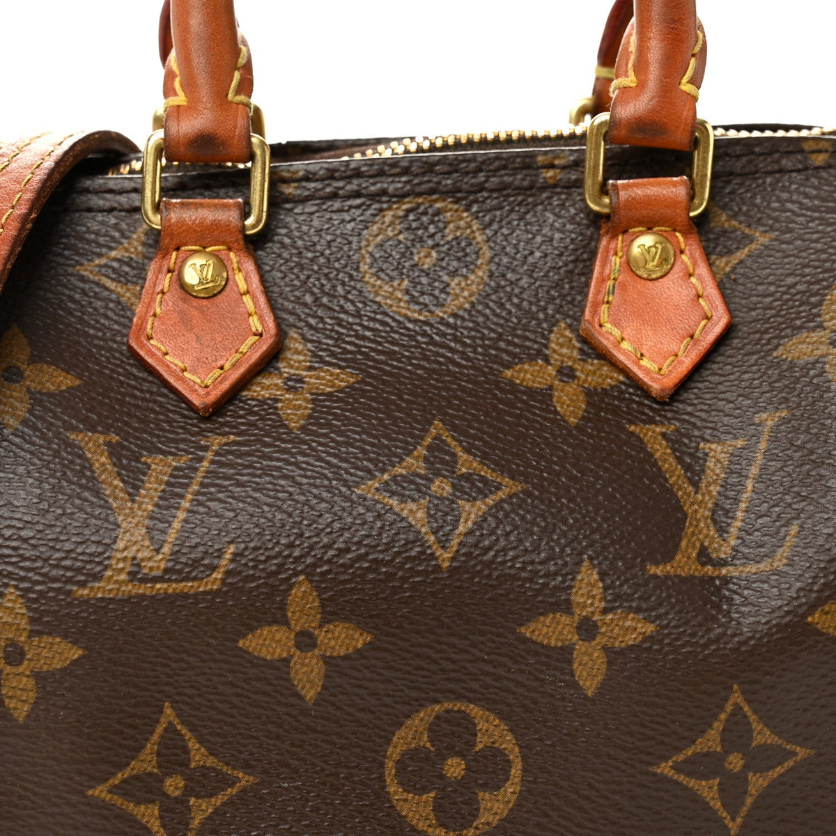 Monogram Nano Speedy